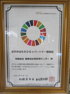 SDGs