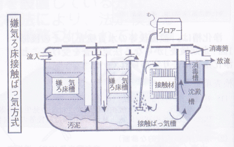 C돰΂C